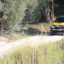 Rally Adriatico 2014